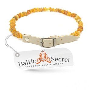 Baltic Secret Amber Dog Collar